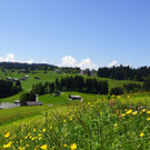 DSC06227.JPG