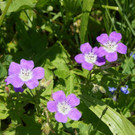 DSC06230.JPG