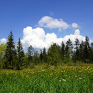 DSC06262.JPG