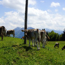 DSC06267.JPG