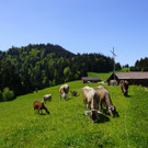 DSC06276.JPG
