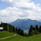DSC06277.JPG
