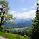 DSC06303.JPG
