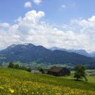 DSC06322.JPG