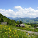 DSC06327.JPG