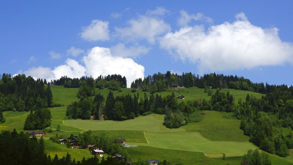 DSC06368_.JPG