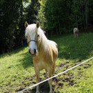 DSC06373.JPG