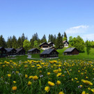 DSC06407.JPG