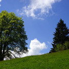 DSC06394.JPG