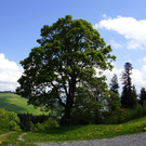 DSC06410.JPG