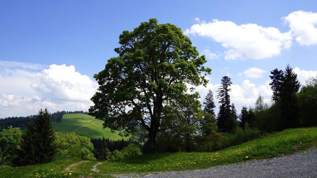 DSC06410.JPG