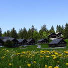 DSC06408.JPG