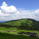 DSC06419.JPG