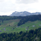 DSC06454.JPG