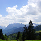 DSC06458.JPG