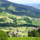 DSC06461.JPG