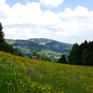 DSC06468.JPG