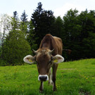 DSC06476.JPG