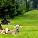 DSC06481.JPG