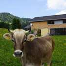 DSC06504.JPG