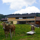 DSC06502.JPG