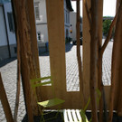 IMG_0890.JPG