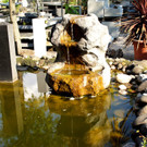 04.JPG