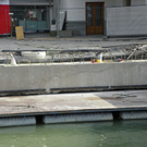 100_6026.jpg