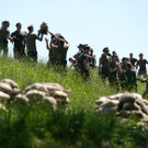 IBD0554-20130607.jpg