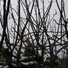 100_6534.jpg