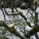 100_6550.jpg