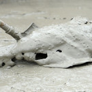 ABD0106-20130607.jpg