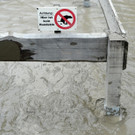 ABD0107-20130607.jpg