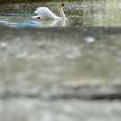 ABD0101-20130607.jpg