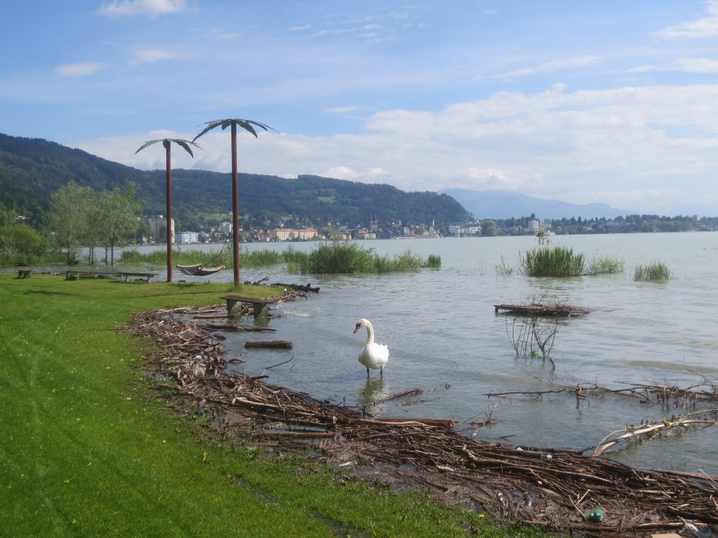 Seeufer WASSERHOCHSTAND 2013 _1__jpg-1370690351
