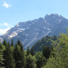 IMG_3436.JPG