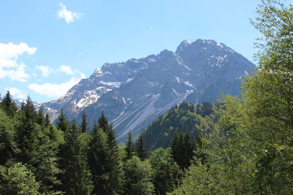 IMG_3436.JPG