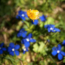 DSC02268 _Large_.JPG