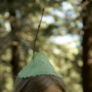 DSC02274 _Large_.JPG