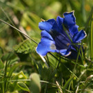 DSC02316 _Large_.JPG