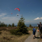 DSC02341 _Large_.JPG