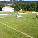 IMG_9865_jpg-1370766340