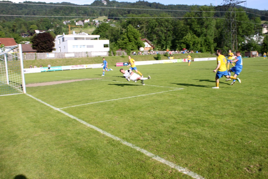 IMG_9865_jpg-1370766340