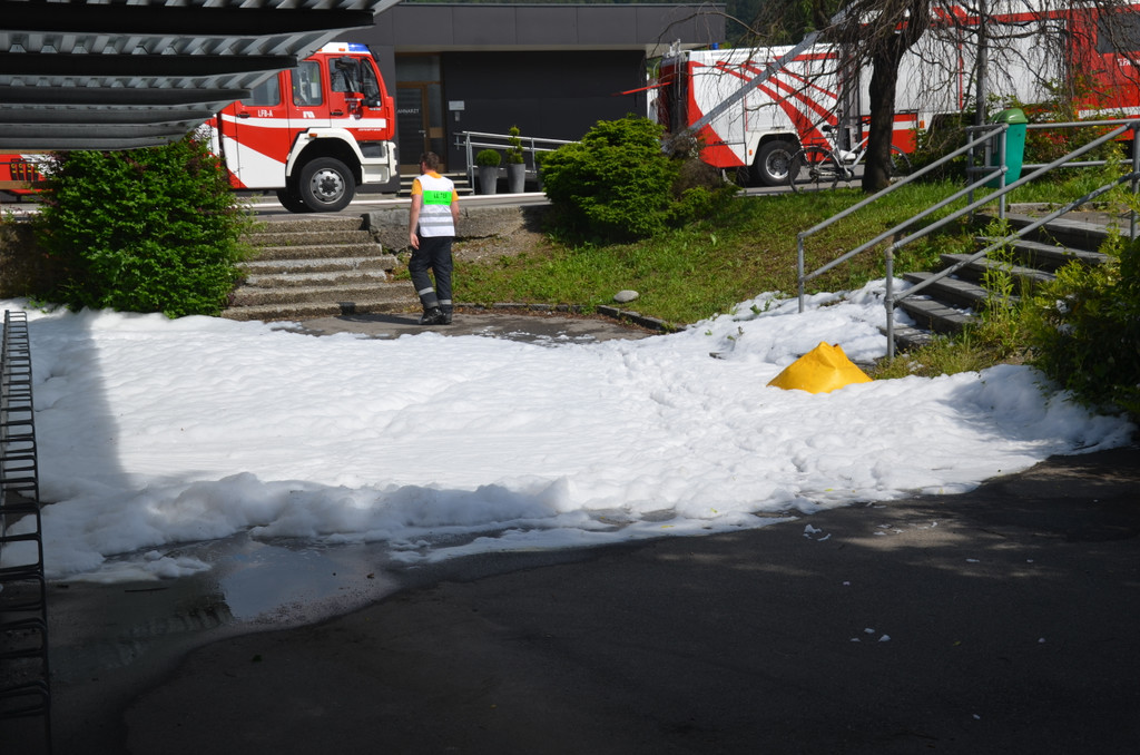 DSC_1499_JPG-1370788921