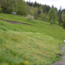 Hangrutschung Dafins