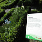 IMG_1640_JPG-1370811573