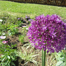 IMG_1637_JPG-1370811894