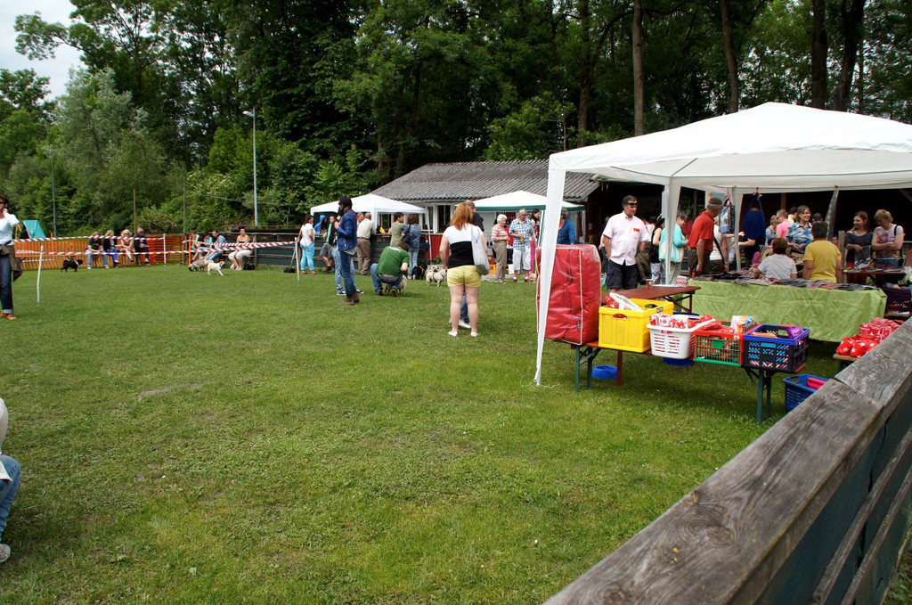 DSC08323.JPG