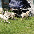 DSC08330.JPG