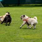 DSC08333.JPG